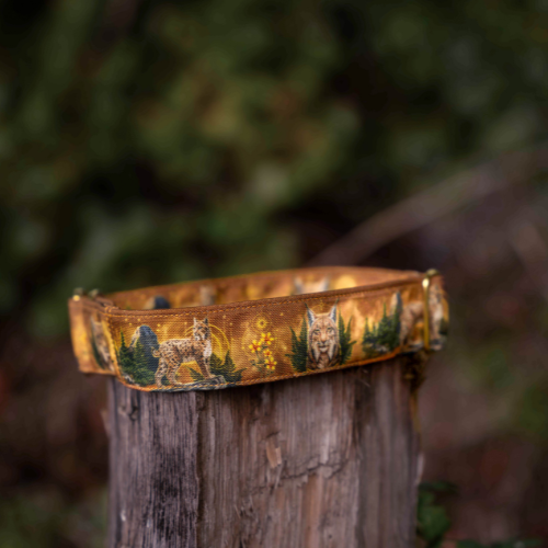 Collier pour chien – Totem Lynx