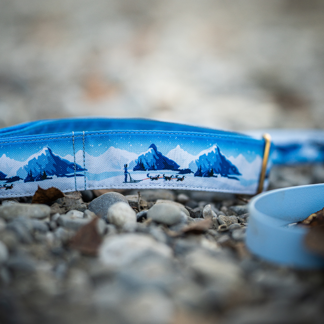 Collier pour chien -  Yukon