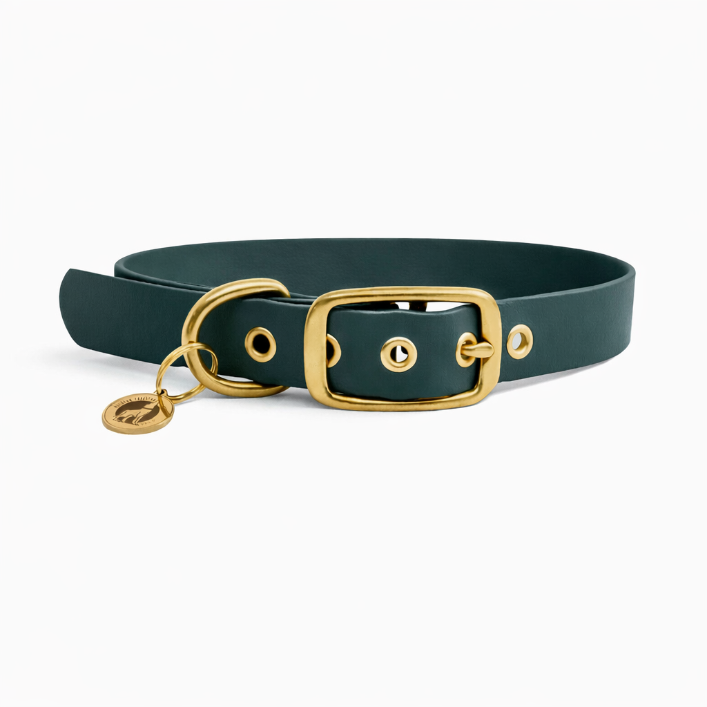 Collier en biothane® - Forêt