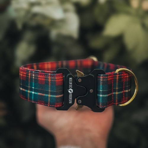 Collier pour chien - Tartan Fraser