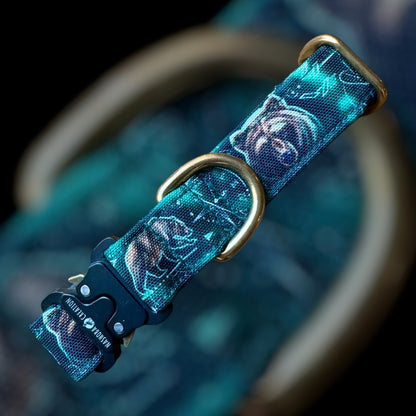 Collier Taille S - Clip sécu 25mm