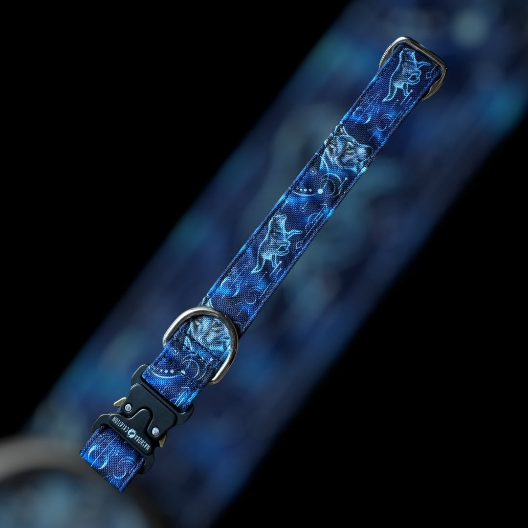 Collier Taille L - Clip sécu 25mm