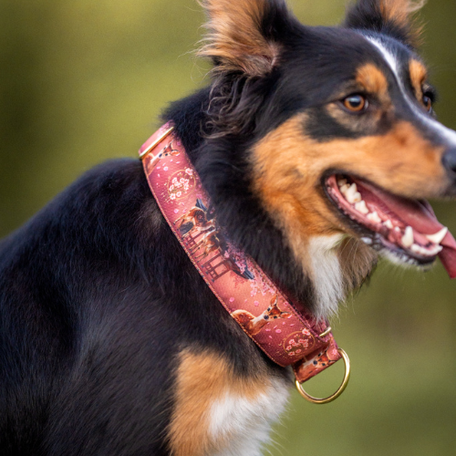 Collier pour chien - Totem Cerf Sika