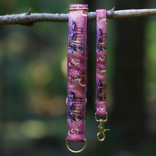Collier pour chien - Totem Cerf Sika