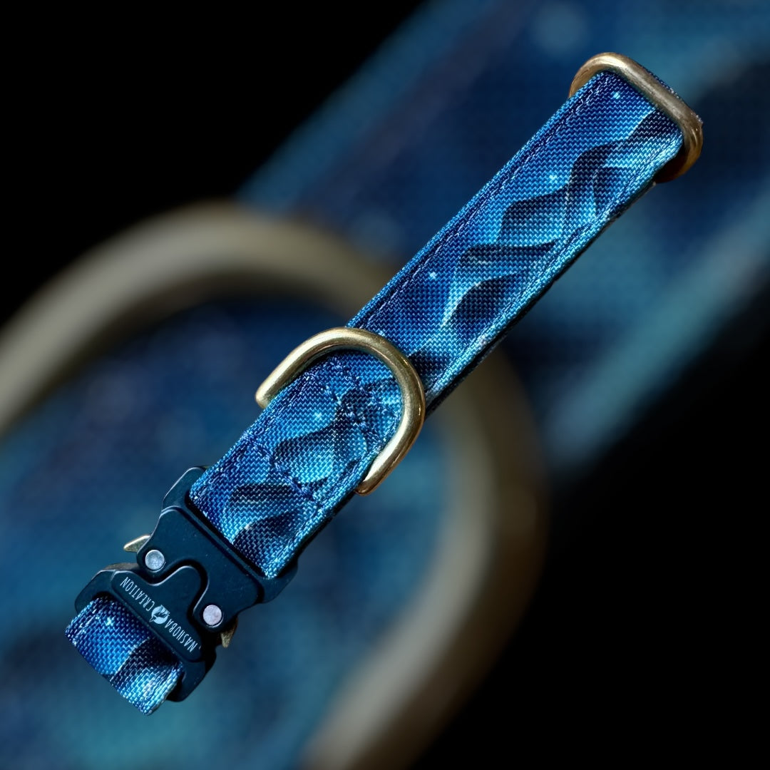 Collier Taille S - CLIP sécu 20mm