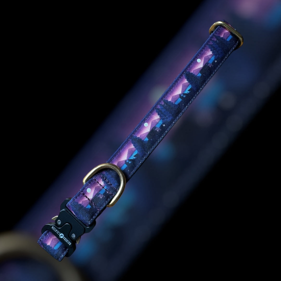 Collier Taille L - Clip sécu 25mm