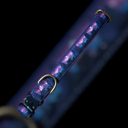 Collier Taille L - Clip sécu 25mm