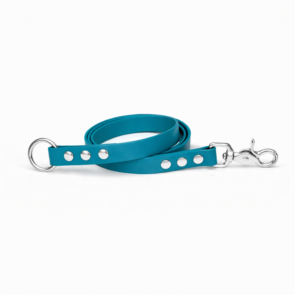 Laisse amovible en biothane® - Lagune