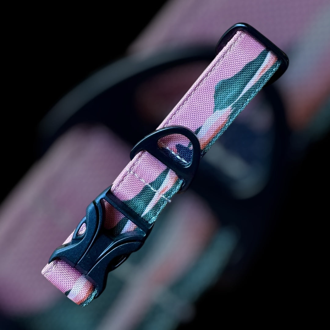 Collier Taille S - Clip plastique 25mm