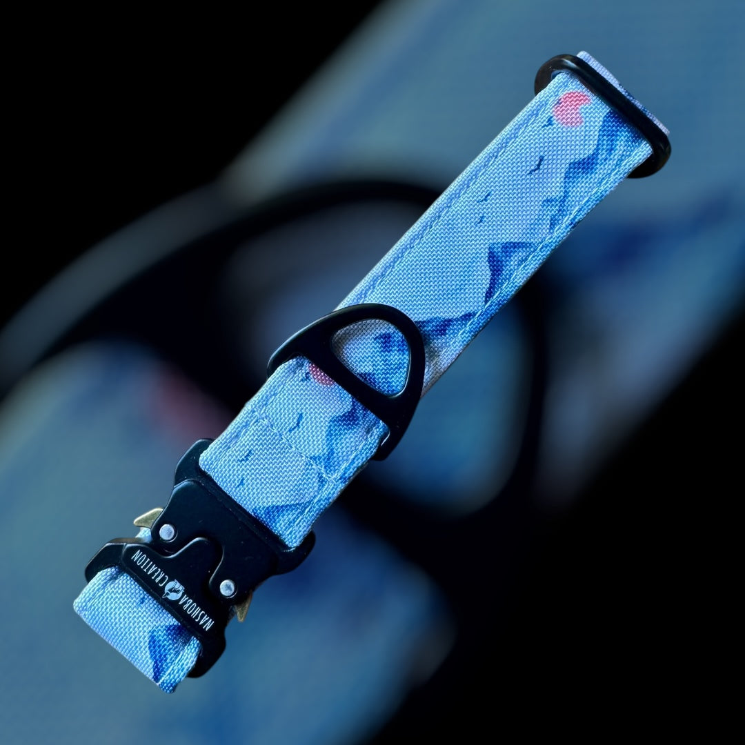 Collier Taille S - Clip sécu 25mm