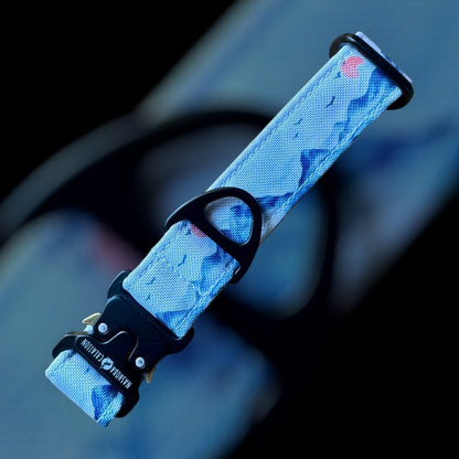 Collier Taille S - Clip sécu 25mm