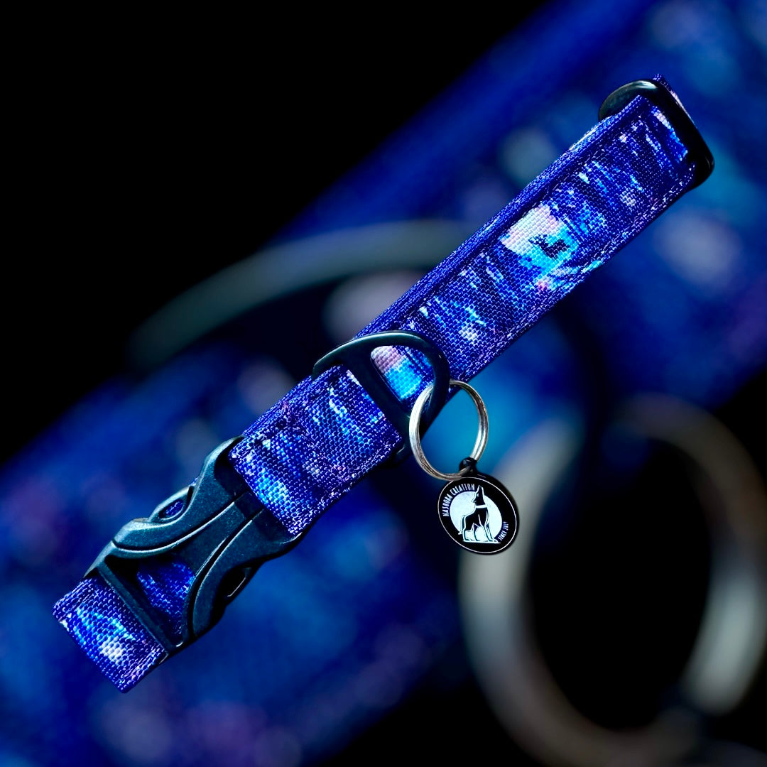 Collier Taille S - CLIP plastique 20mm