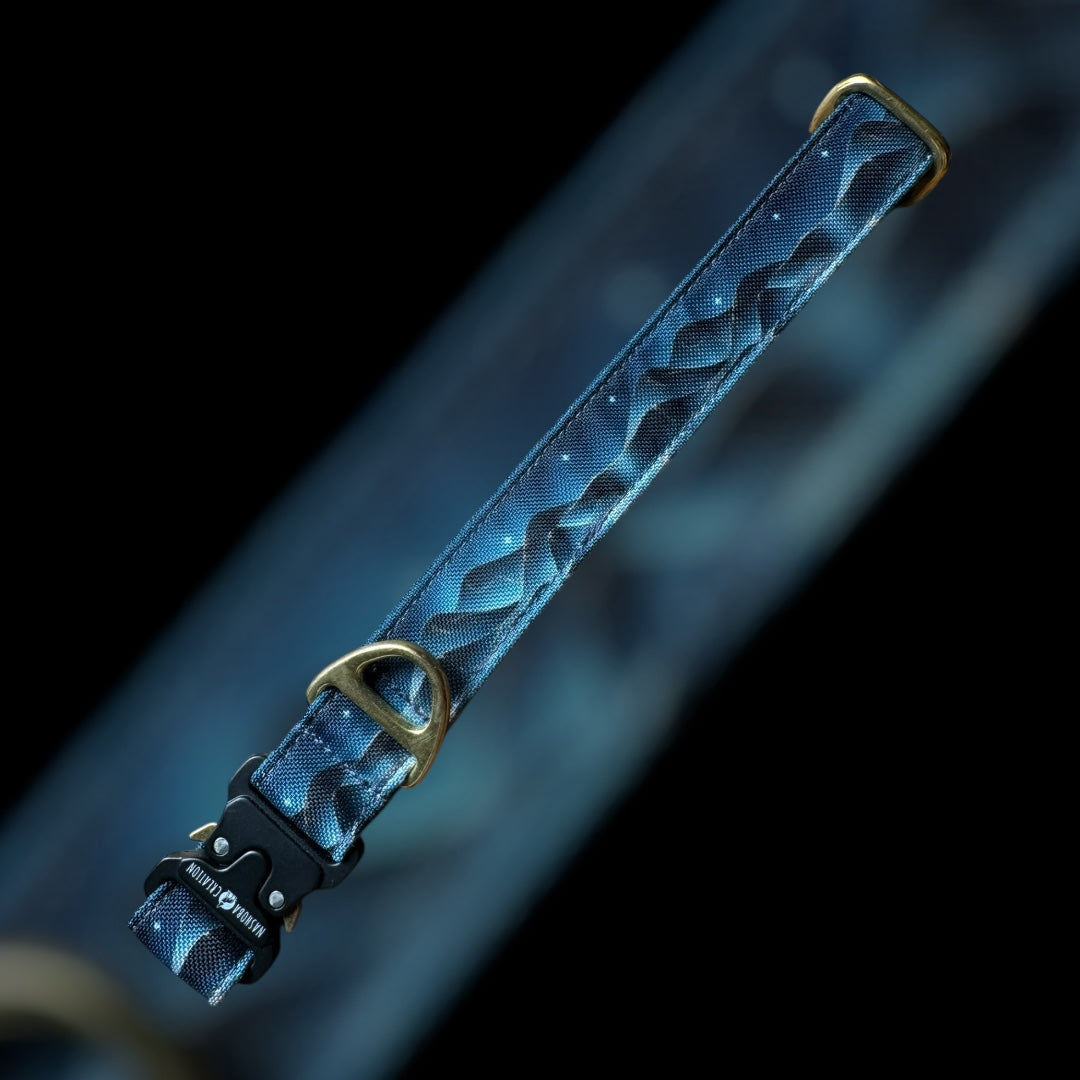 Collier Taille L - Clip sécu 25mm