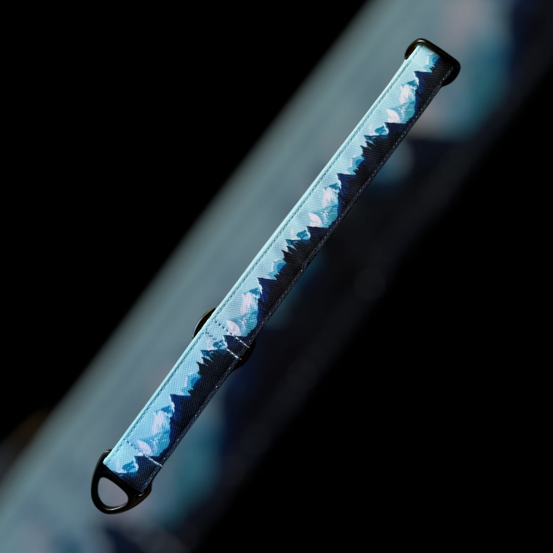 Martingale Taille M - 25mm