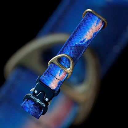 Collier Taille S - Clip sécu 25mm