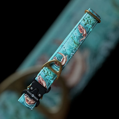 Collier Taille M - Clip sécu 25mm