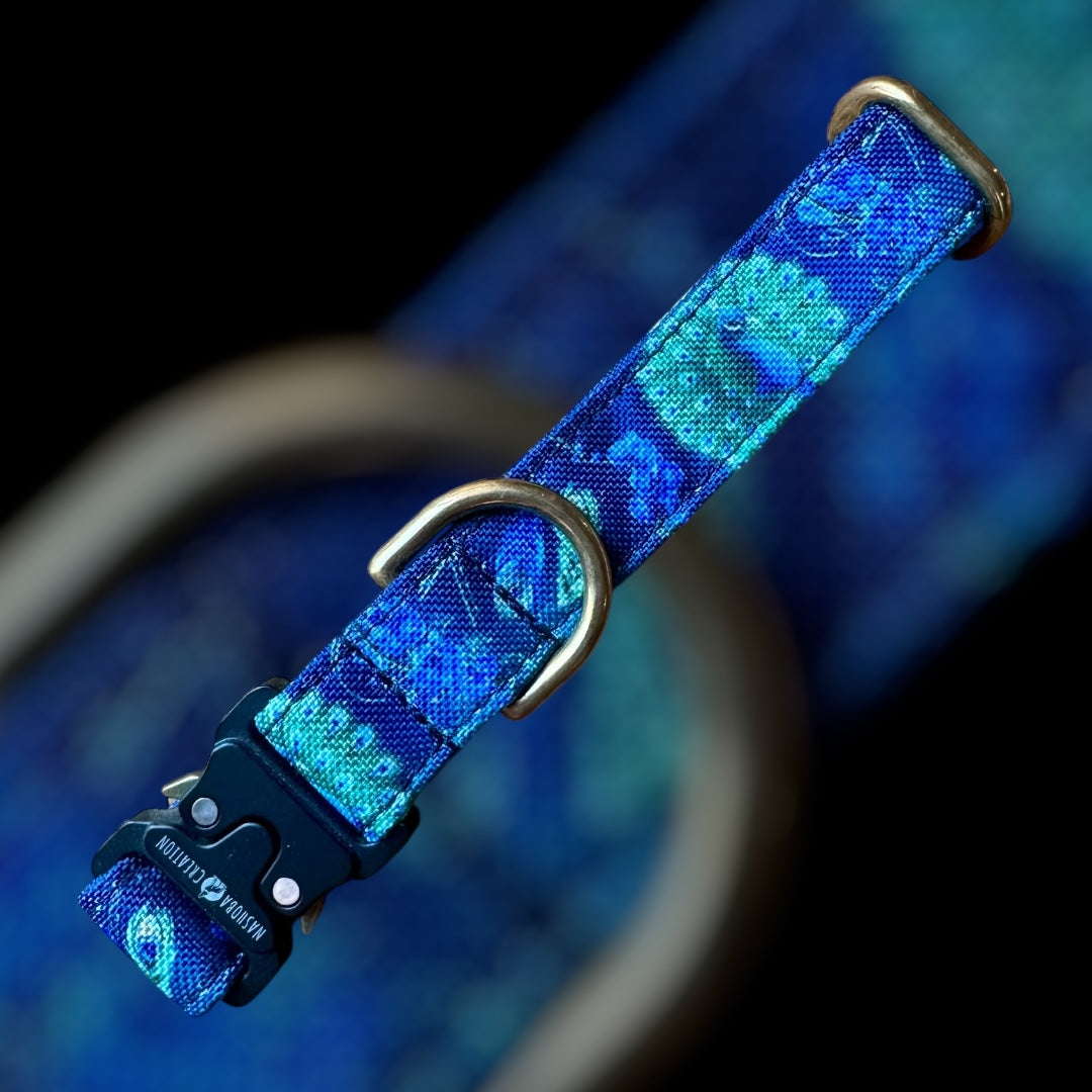 Collier Taille S - CLIP sécu 20mm