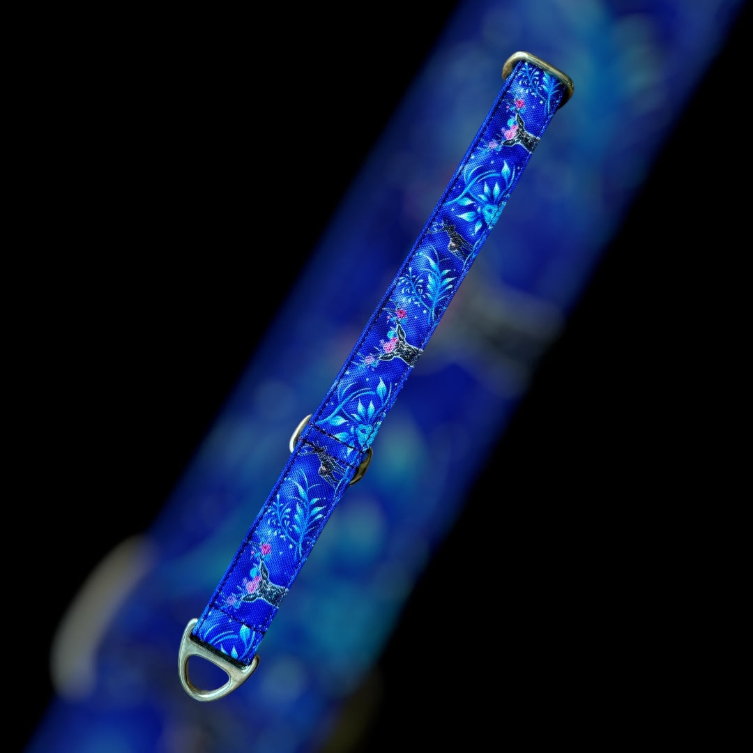 Martingale Taille M - 25mm