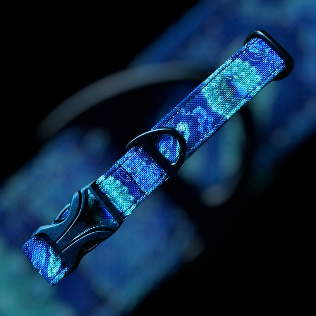 Collier Taille S - CLIP plastique 20mm