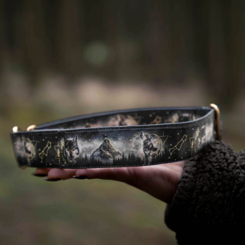 Collier pour chien - Totem Loup