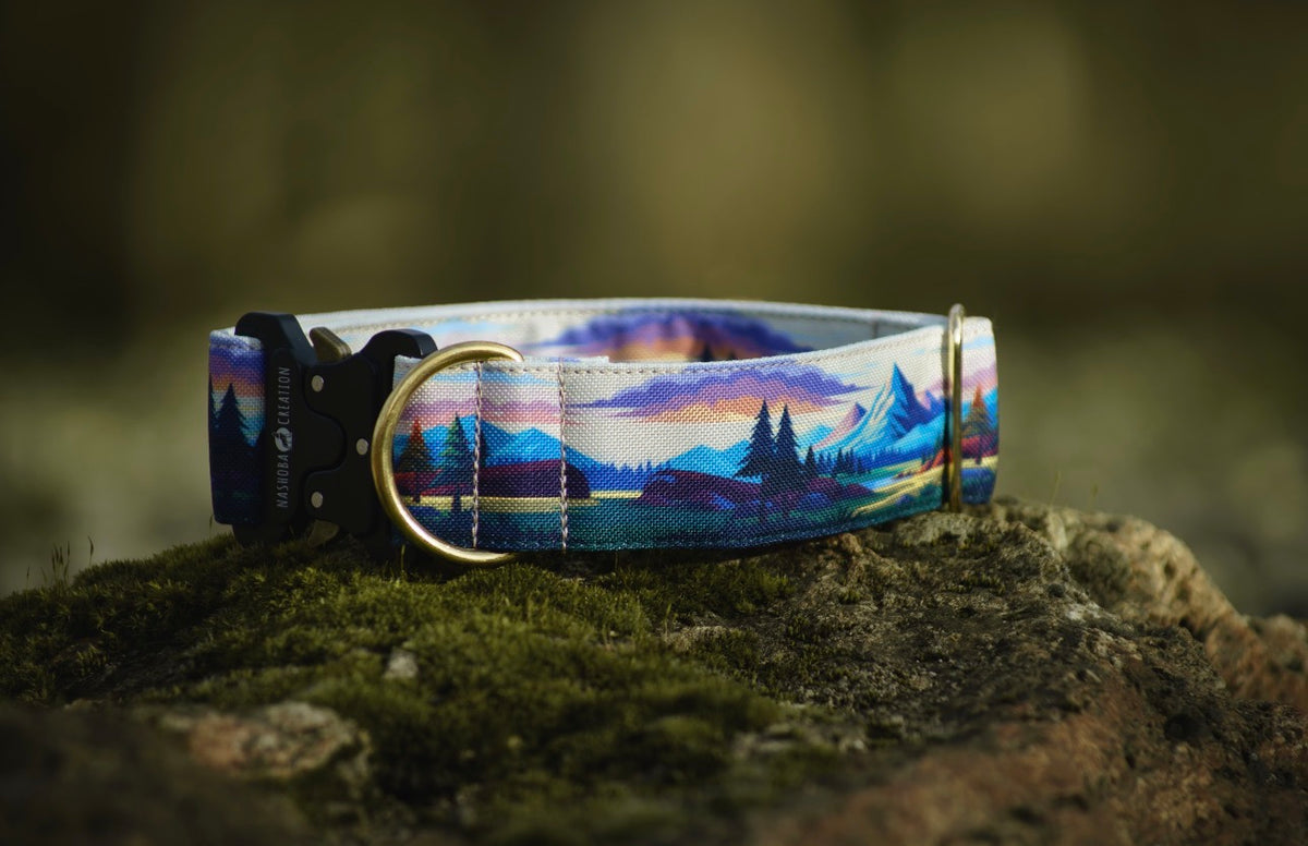 Collier pour chien - Middle Earth