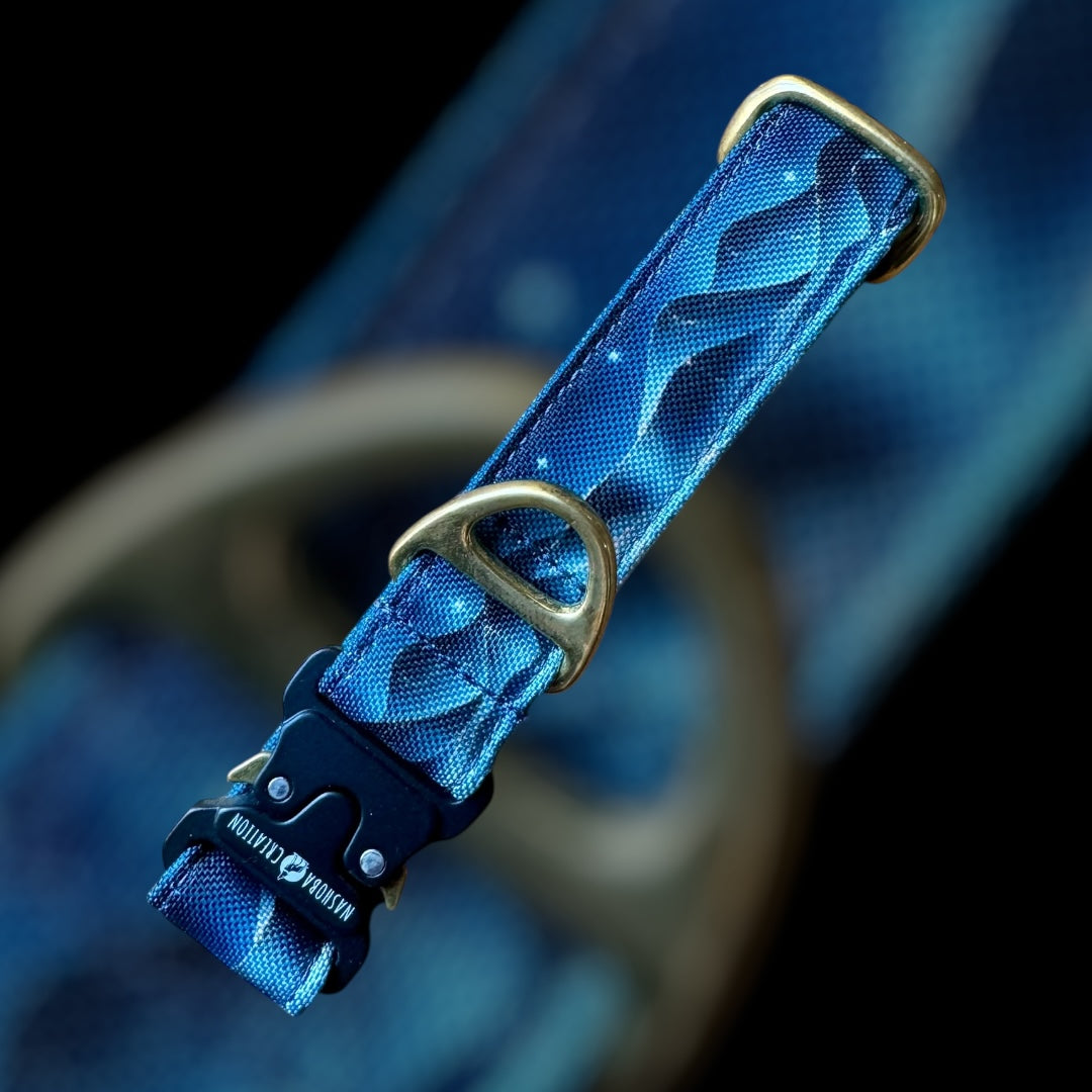 Collier Taille S - Clip sécu 25mm