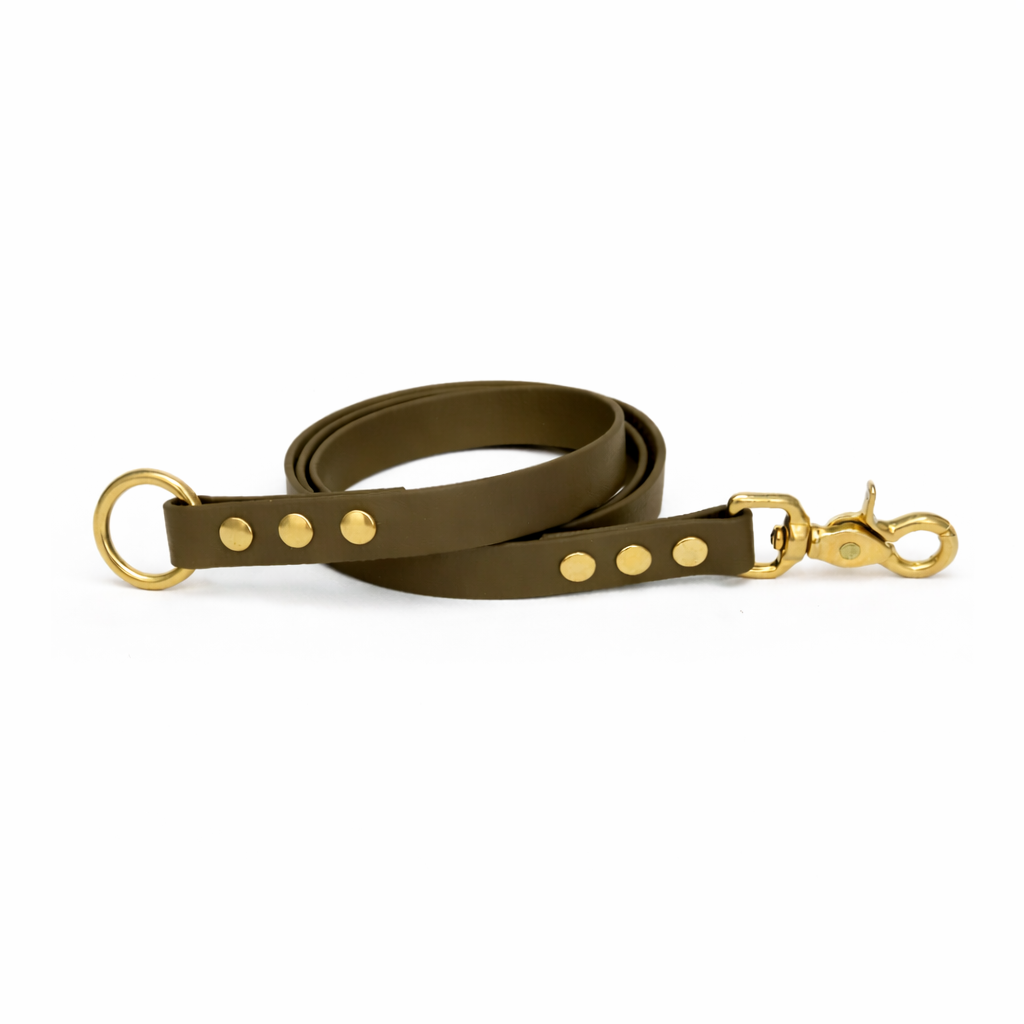 Laisse amovible en biothane® - Olive