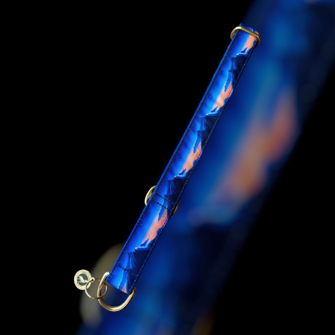 Martingale Taille L (36cm à 67cm) - 25mm