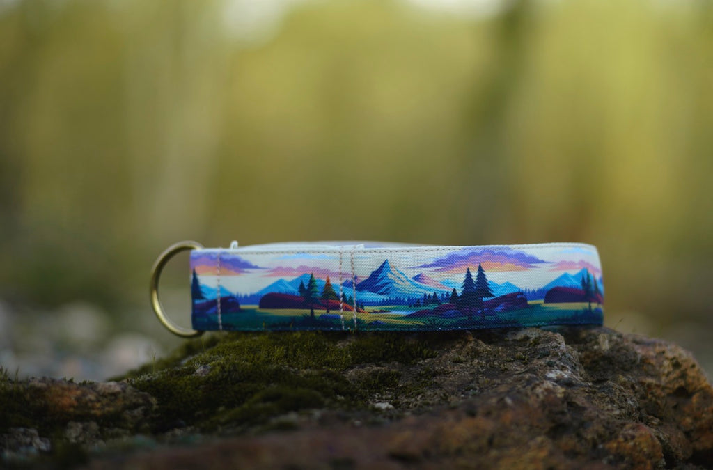 Collier pour chien - Middle Earth