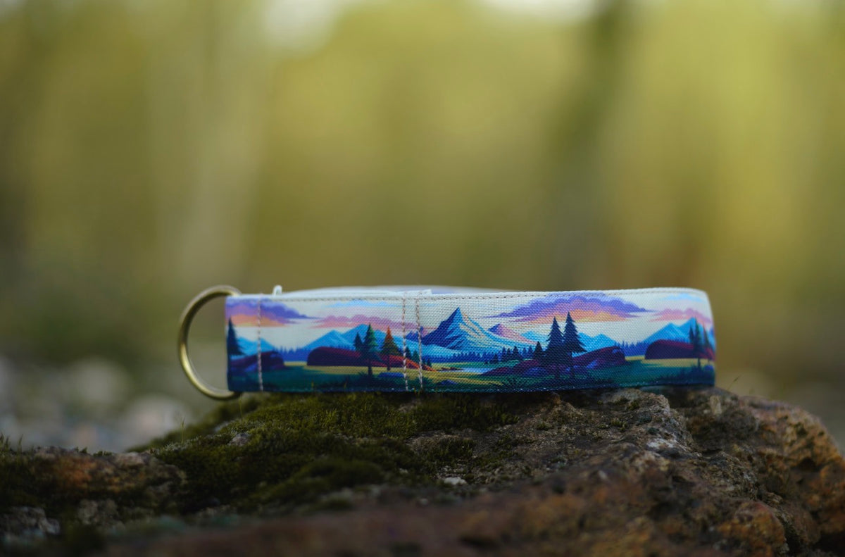 Collier pour chien - Middle Earth