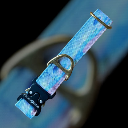 Collier Taille S - Clip sécu 25mm