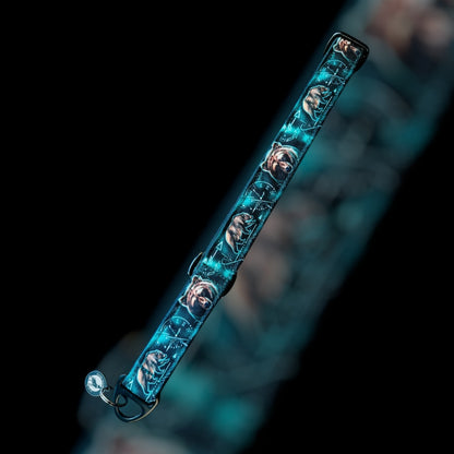 Martingale Taille M - 25mm