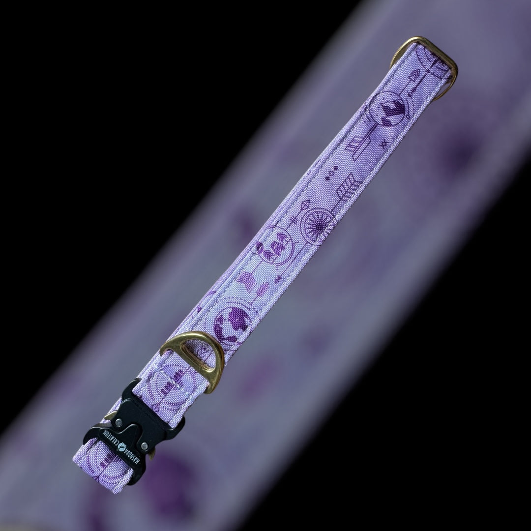 Collier Taille L - Clip sécu 25mm