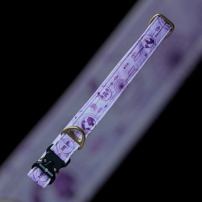 Collier Taille L - Clip sécu 25mm