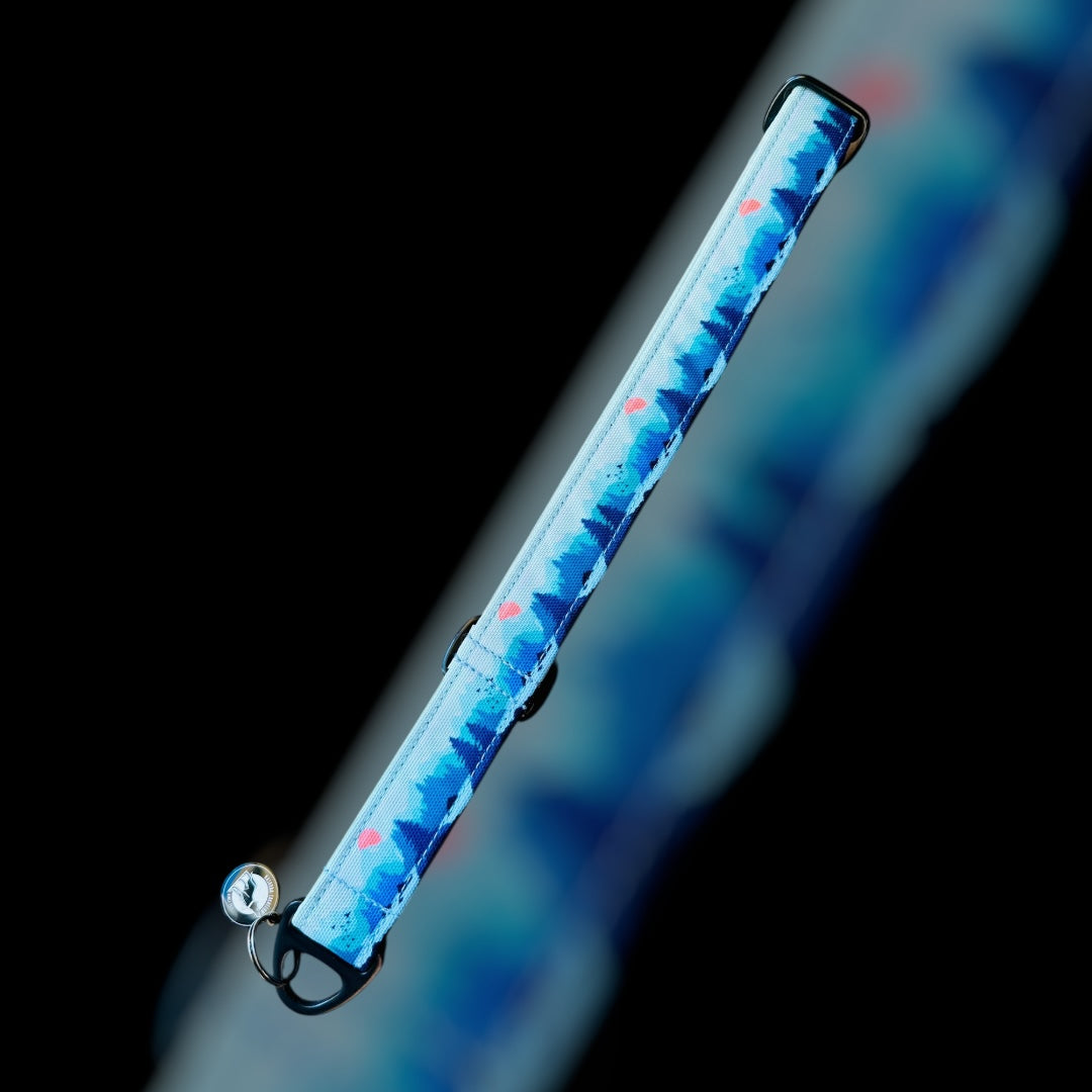 Martingale Taille M - 25mm