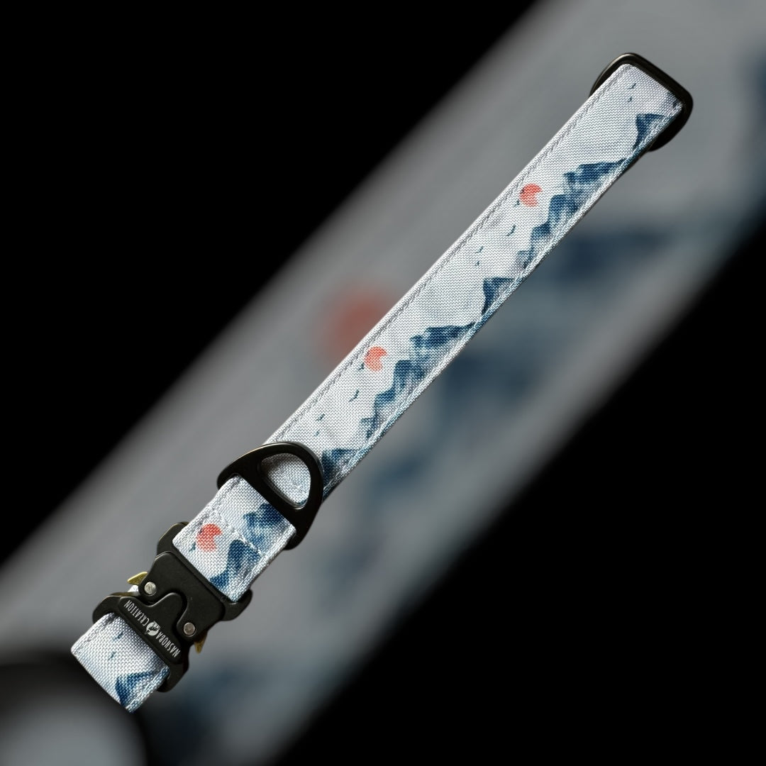 Collier Taille L - Clip sécu 25mm