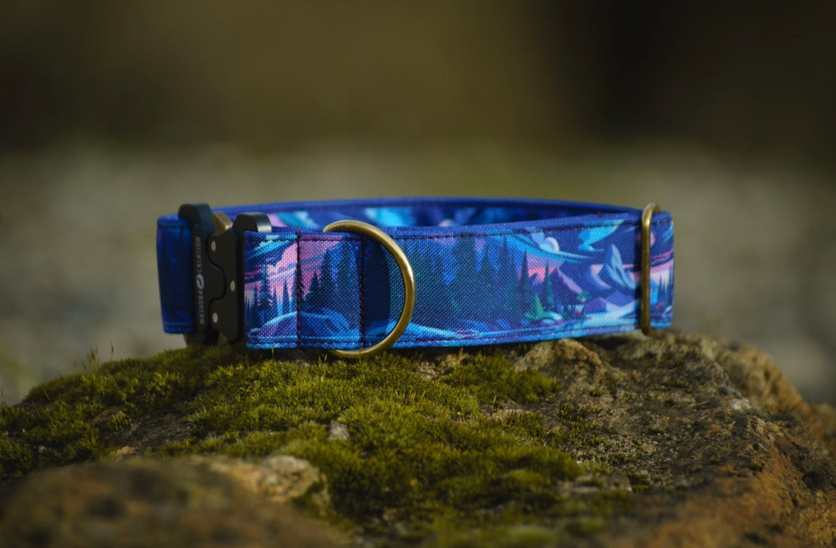 Collier pour chien - Moonriver