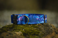 Collier pour chien - Moonriver