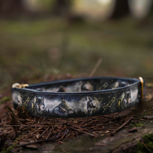 Collier pour chien - Totem Loup