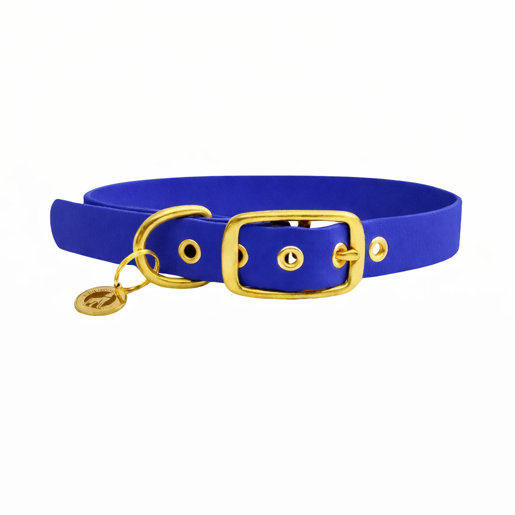 Collier en biothane® - Royal