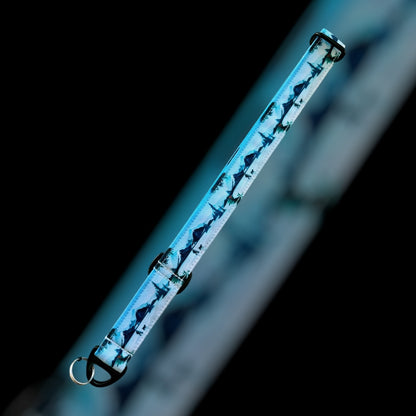 Martingale Taille L (36cm à 67cm) - 25mm