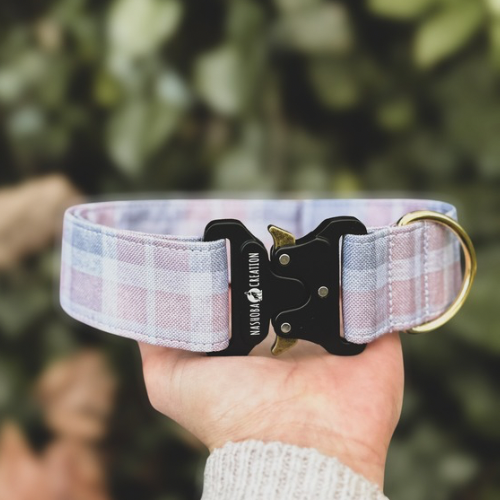 Collier pour chien - Tartan Mist