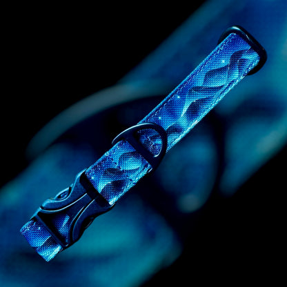 Collier Taille S - CLIP plastique 20mm