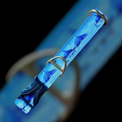 Collier Taille S - CLIP plastique 20mm