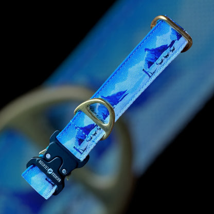 Collier Taille S - Clip sécu 25mm