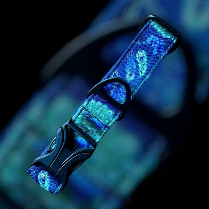 Collier Taille S - Clip plastique 25mm