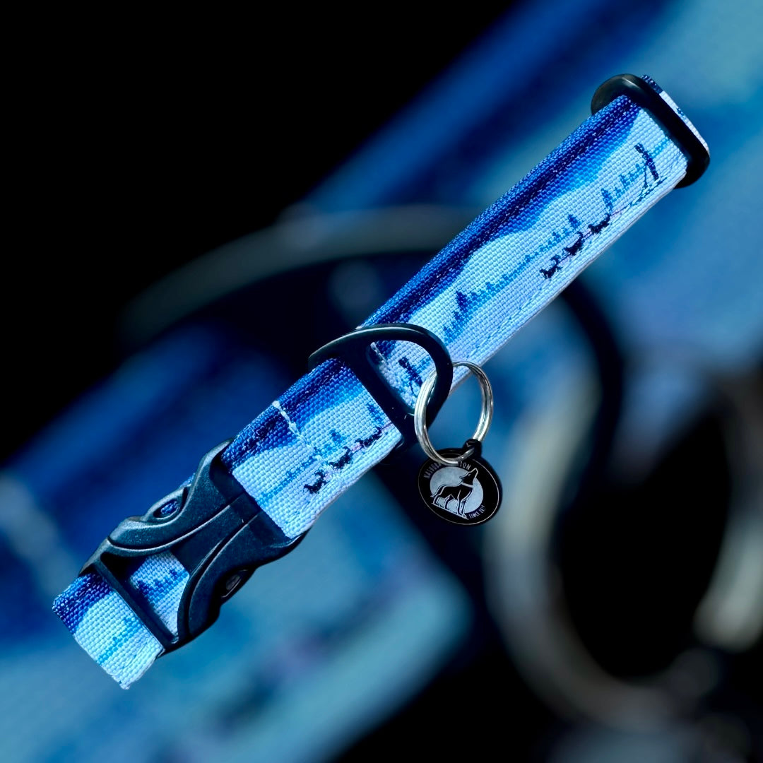 Collier Taille S - CLIP plastique 20mm