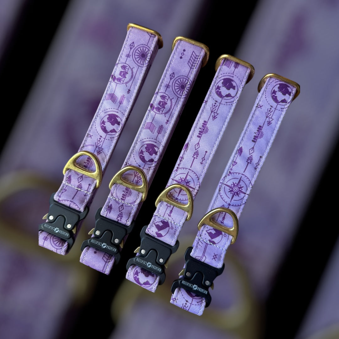 Collier Taille M - Clip sécu 25mm