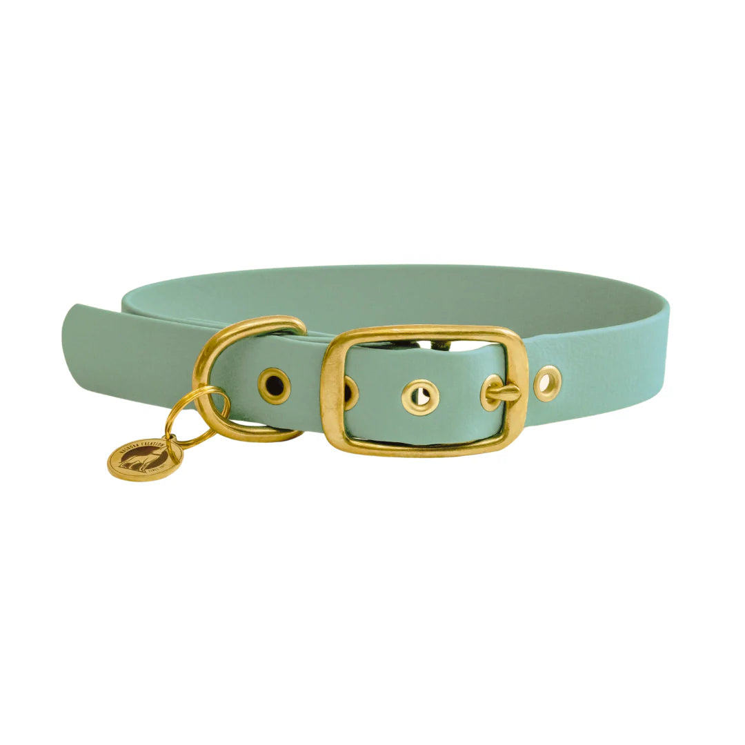Collier en biothane® - Sauge
