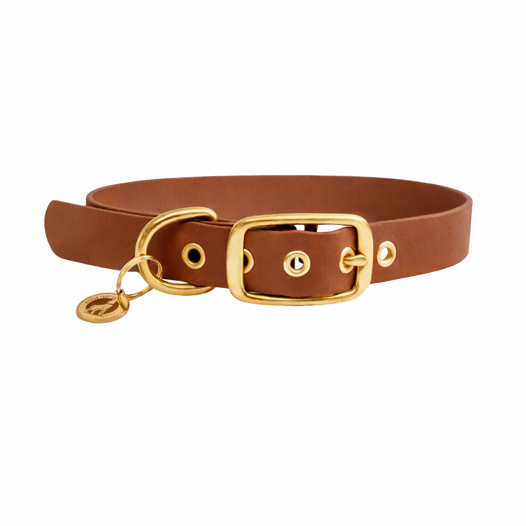 Collier en biothane® - Camel